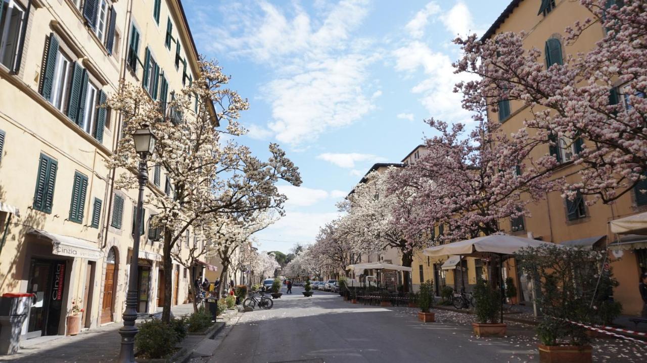Apartament A Casa Di Irene Lukka Zewnętrze zdjęcie